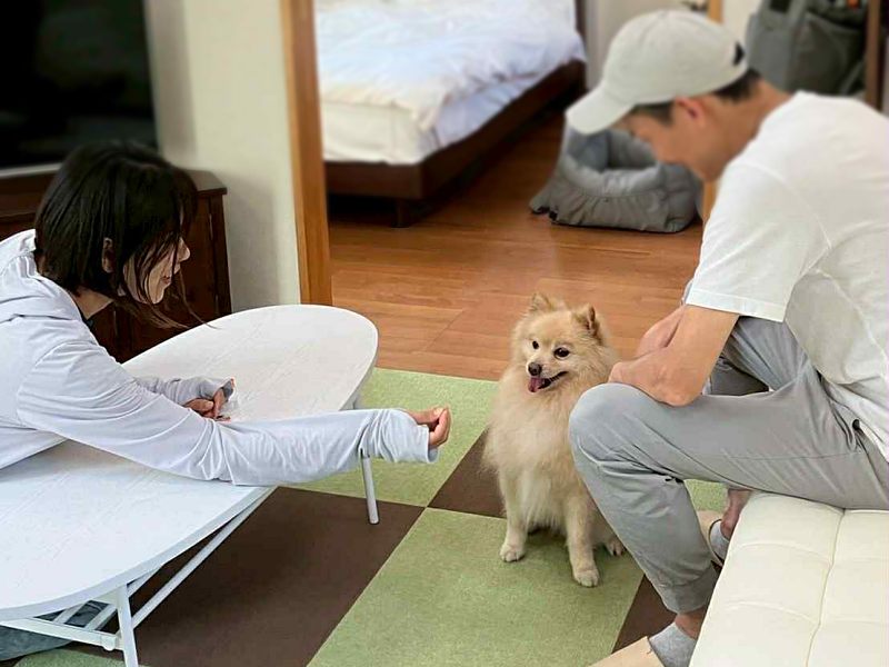 ペットと泊まれる宿 須坂健康の森RVリゾート