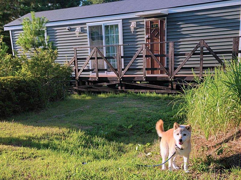 ペットと泊まれる宿 須坂健康の森RVリゾート