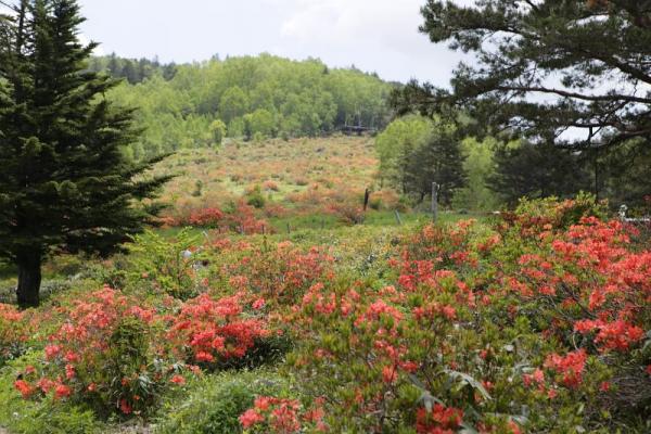 五味池破風高原自然園