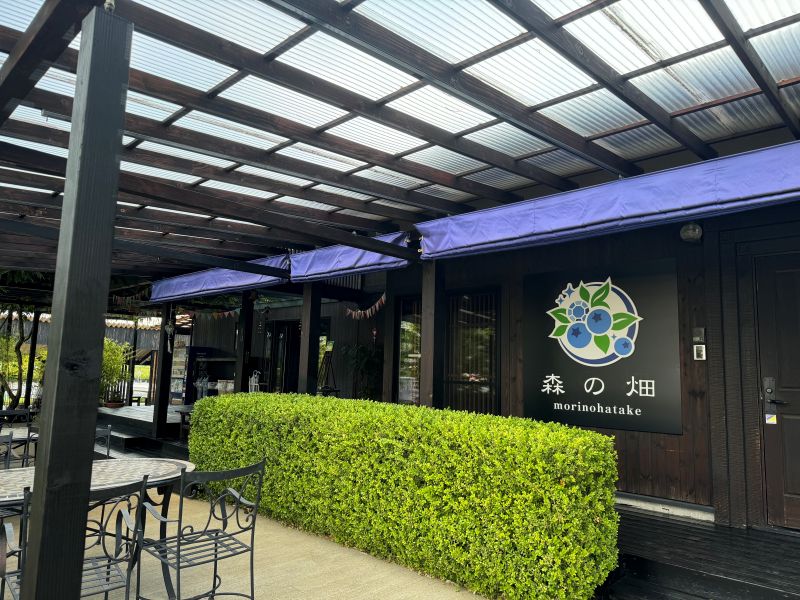 ブルーベリー農園　森の畑