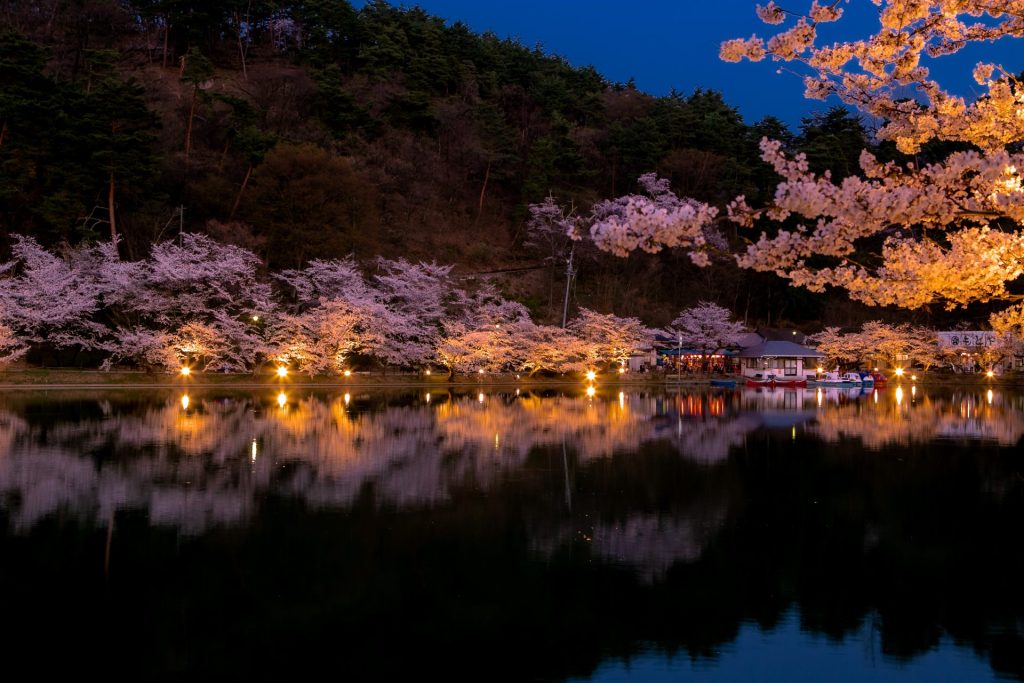 臥竜公園さくらまつり